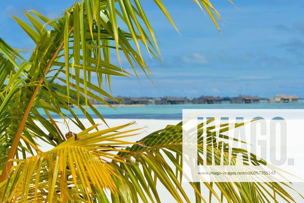 Tropical beach nature landscape with white sand at summer model released Symbolfoto, property released