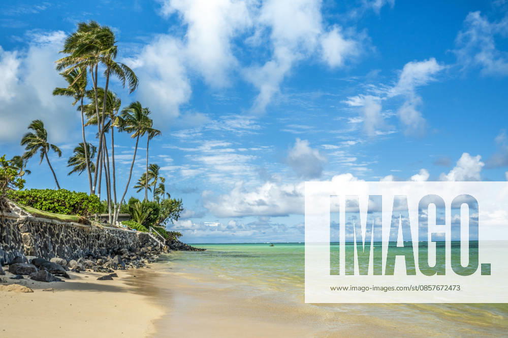 Tropical paradise view with turquoise water and white sand Honolulu, Hawaii, United States CR_SHVL260525-2034408-01