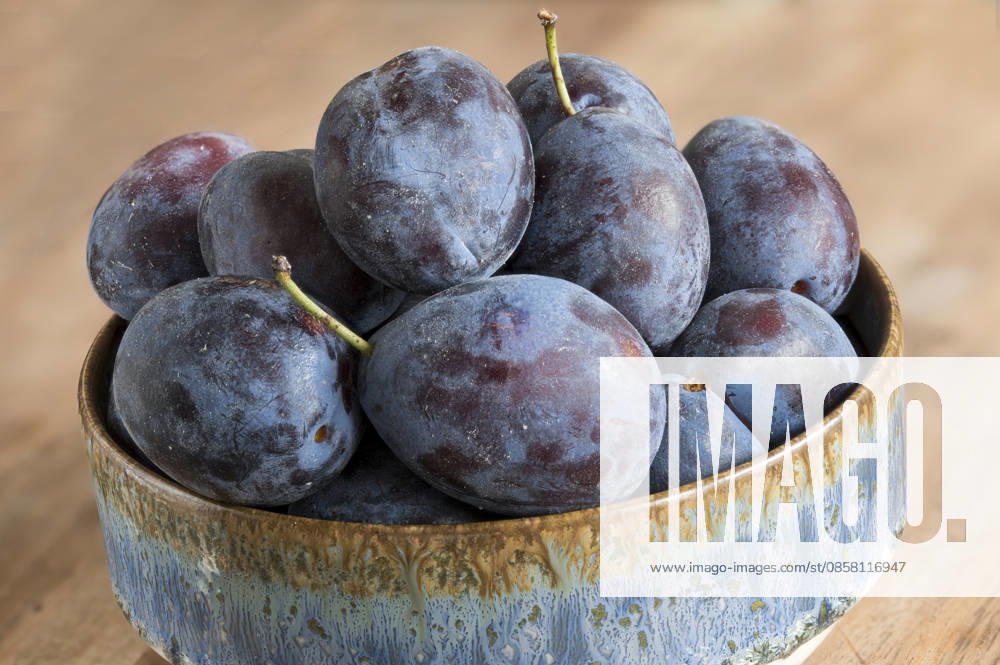 IMAGO Creative, Jahreszeit Sommer, Food, Pflaume pflaumen,pflaume,zwetschge,zwetschgen ** plums,plum 2yo-hsl