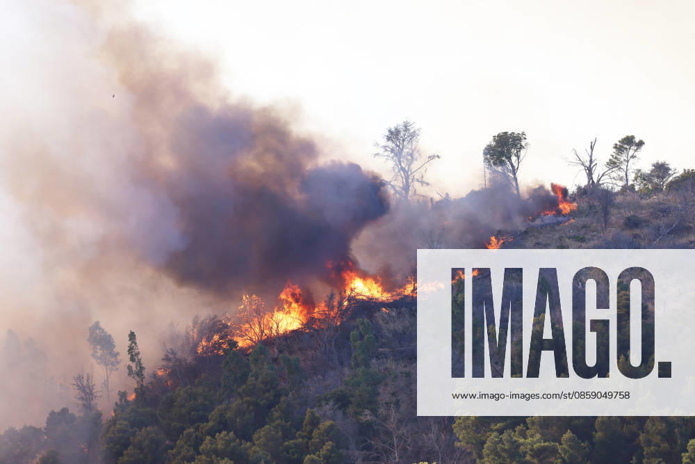 Firefighters response to wildfires in two regions in southern Italy SICILY, ITALY - JUNE 13: Large fire has broken out in Montagna Grande, a town in Salemi, near Trapani in Sicily, Italy on June 13, 2026. Two Canadair aircraft and three helicopters take part in an extinguishing work. Alberto Lo Bianco Anadolu Sicily Italy. Editorial use only. Please get in touch for any other usage.