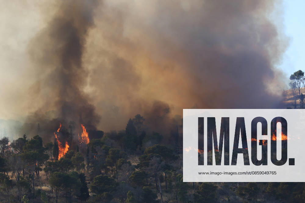 Firefighters response to wildfires in two regions in southern Italy SICILY, ITALY - JUNE 13: Large fire has broken out in Montagna Grande, a town in Salemi, near Trapani in Sicily, Italy on June 13, 2026. Two Canadair aircraft and three helicopters take part in an extinguishing work. Alberto Lo Bianco Anadolu Sicily Italy. Editorial use only. Please get in touch for any other usage.