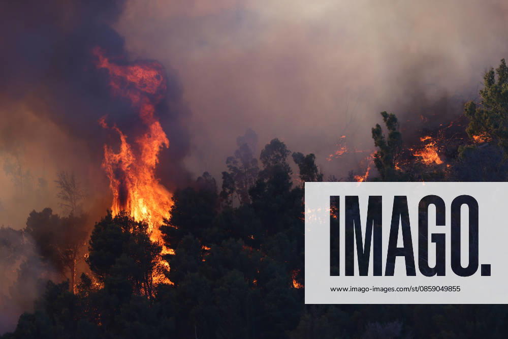Firefighters response to wildfires in two regions in southern Italy SICILY, ITALY - JUNE 13: Large fire has broken out in Montagna Grande, a town in Salemi, near Trapani in Sicily, Italy on June 13, 2026. Two Canadair aircraft and three helicopters take part in an extinguishing work. Alberto Lo Bianco Anadolu Sicily Italy. Editorial use only. Please get in touch for any other usage.