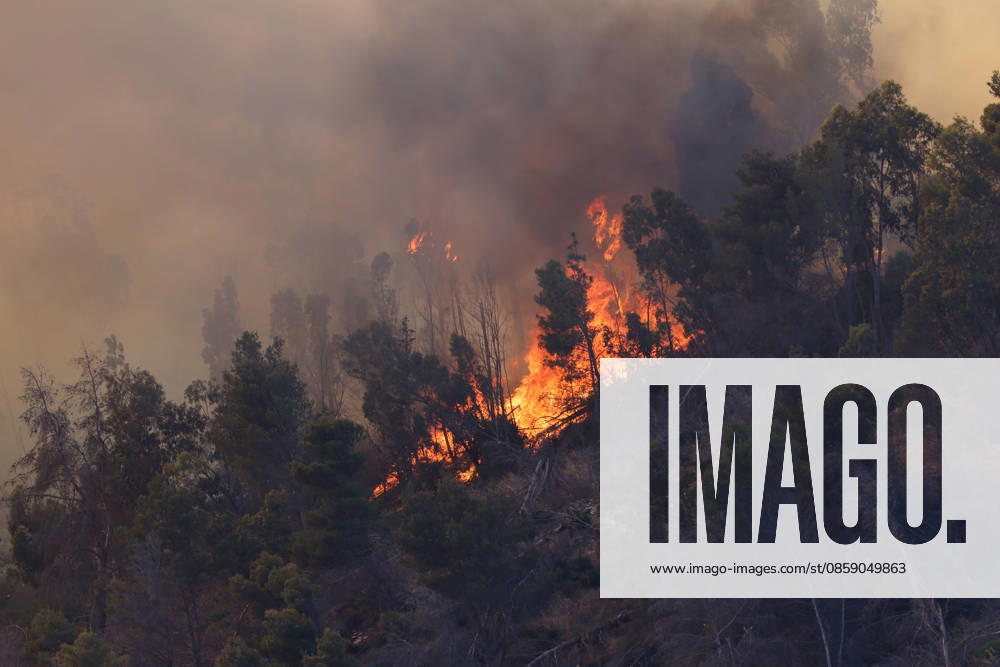Firefighters response to wildfires in two regions in southern Italy SICILY, ITALY - JUNE 13: Large fire has broken out in Montagna Grande, a town in Salemi, near Trapani in Sicily, Italy on June 13, 2026. Two Canadair aircraft and three helicopters take part in an extinguishing work. Alberto Lo Bianco Anadolu Sicily Italy. Editorial use only. Please get in touch for any other usage.