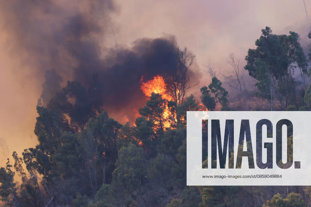 Firefighters response to wildfires in two regions in southern Italy SICILY, ITALY - JUNE 13: Large fire has broken out in Montagna Grande, a town in Salemi, near Trapani in Sicily, Italy on June 13, 2026. Two Canadair aircraft and three helicopters take part in an extinguishing work. Alberto Lo Bianco Anadolu Sicily Italy. Editorial use only. Please get in touch for any other usage.