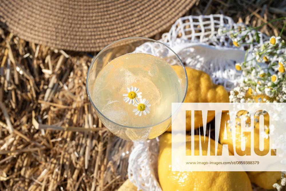 Refreshing limoncello or chamomile lemonade with lemons in a summer R_YEPI260616-2055179-01