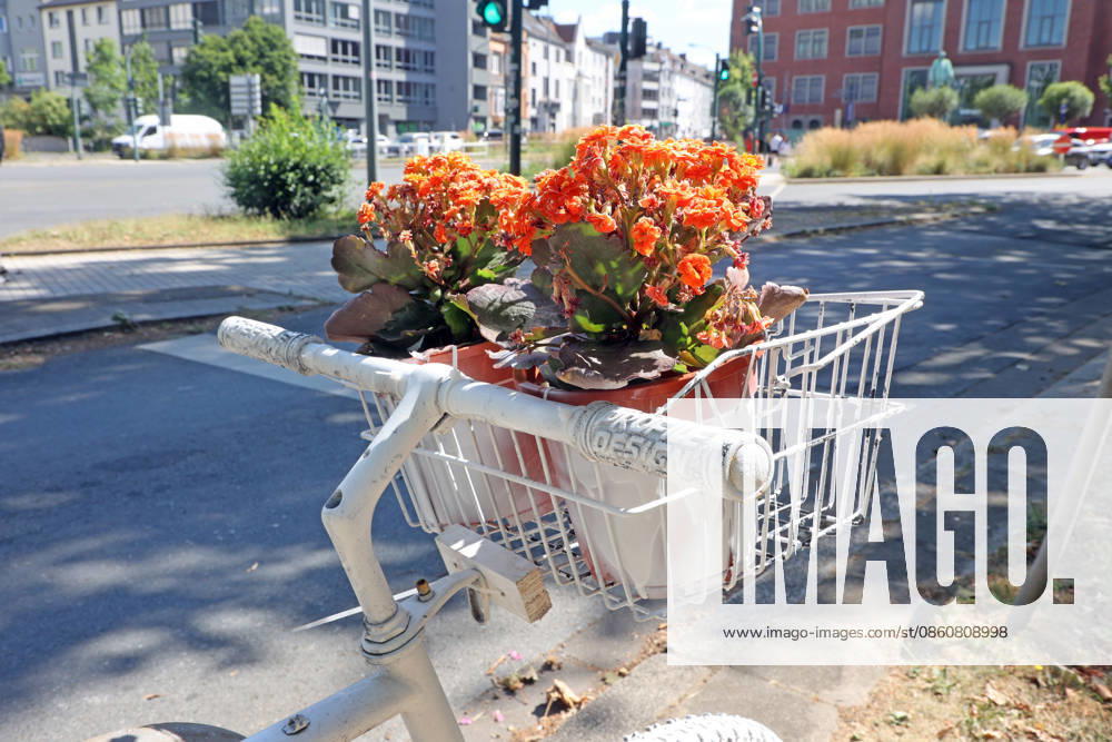 Fatal Bicycle Accidents: A so-called white ghost bike stands on the side of a heavily trafficked road—considered an accident black spot—following a fatal accident in Essen, North Rhine-Westphalia, Germany