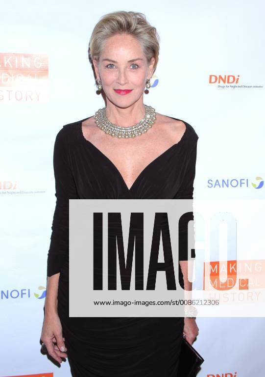 NEW YORK, NY - OCTOBER 24: Sharon Stone at the Drugs for Neglected Diseases Initiative Inaugural Making Medical History Gala at the Bowery Hotel in New York City on October 24, 2018.