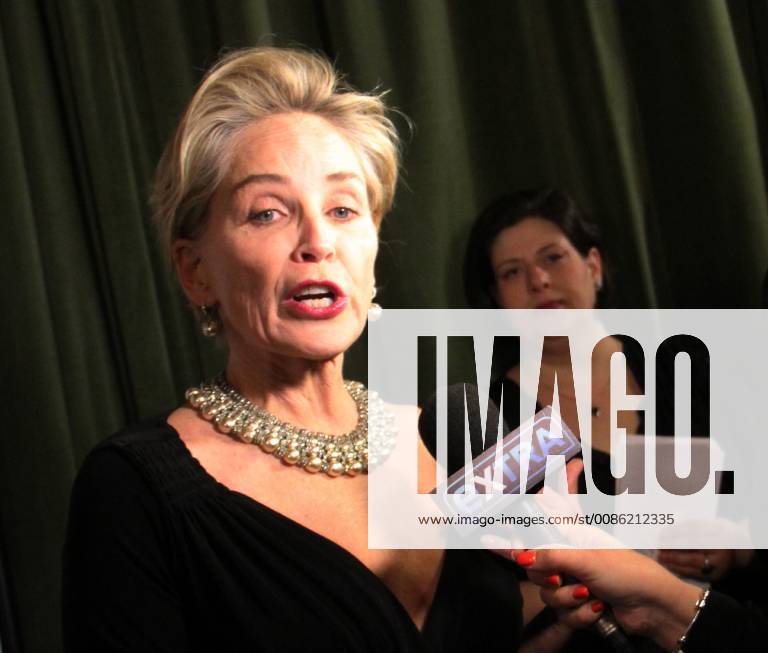 NEW YORK, NY - OCTOBER 24: Sharon Stone at the Drugs for Neglected Diseases Initiative Inaugural Making Medical History Gala at the Bowery Hotel in New York City on October 24, 2018.