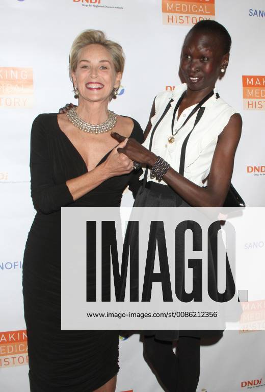 NEW YORK, NY - OCTOBER 24: Sharon Stone, Alek Wek at the Drugs for Neglected Diseases Initiative Inaugural Making Medical History Gala at the Bowery Hotel in New York City on October 24, 2018.
