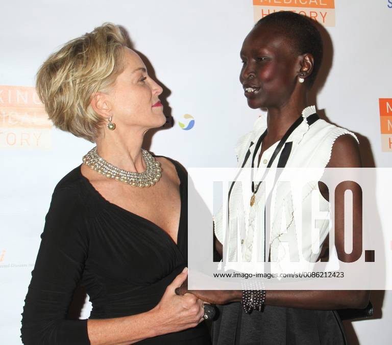NEW YORK, NY - OCTOBER 24: Sharon Stone, Alek Wek at the Drugs for Neglected Diseases Initiative Inaugural Making Medical History Gala at the Bowery Hotel in New York City on October 24, 2018.