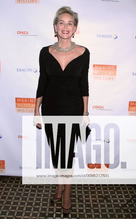 NEW YORK, NY - OCTOBER 24: Sharon Stone at the Drugs for Neglected Diseases Initiative Inaugural Making Medical History Gala at the Bowery Hotel in New York City on October 24, 2018.