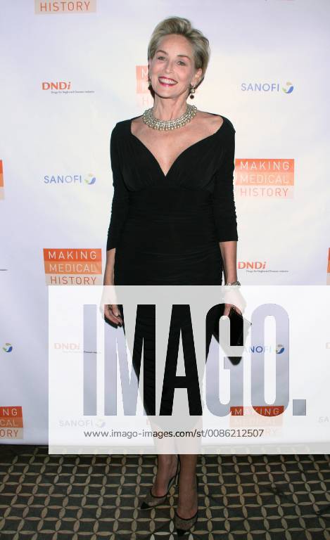 NEW YORK, NY - OCTOBER 24: Sharon Stone at the Drugs for Neglected Diseases Initiative Inaugural Making Medical History Gala at the Bowery Hotel in New York City on October 24, 2018.