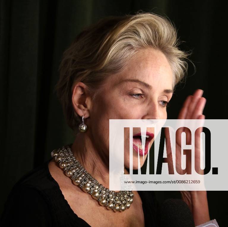 New York City, New York, U.S. - Actress SHARON STONE attends the Drugs for Neglected Diseases initiatives (DNDi) celebrates inaugural Making Medical History Gala held the Bowery Hotel. New York City U.S. - ZUMAk03_ 20181024_zaf_k03_132