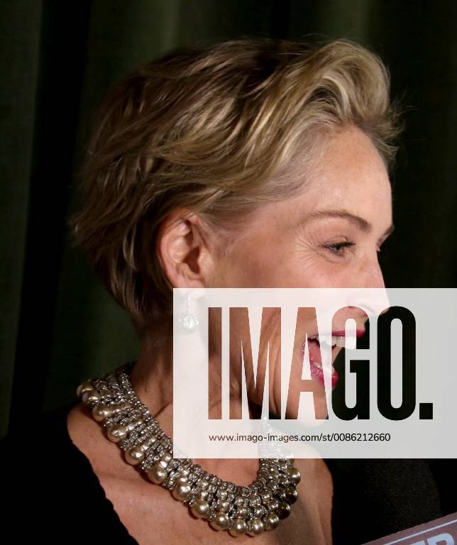 New York City, New York, U.S. - Actress SHARON STONE attends the Drugs for Neglected Diseases initiatives (DNDi) celebrates inaugural Making Medical History Gala held the Bowery Hotel. New York City U.S. - ZUMAk03_ 20181024_zaf_k03_135