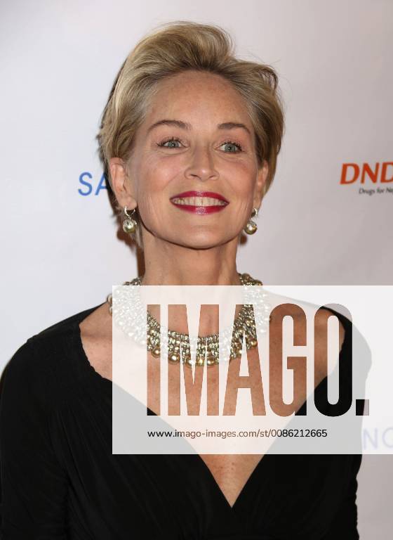 New York City, New York, U.S. - Actress SHARON STONE attends the Drugs for Neglected Diseases initiatives (DNDi) celebrates inaugural Making Medical History Gala held the Bowery Hotel. New York City U.S. - ZUMAk03_ 20181024_zaf_k03_118