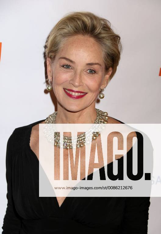 New York City, New York, U.S. - Actress SHARON STONE attends the Drugs for Neglected Diseases initiatives (DNDi) celebrates inaugural Making Medical History Gala held the Bowery Hotel. New York City U.S. - ZUMAk03_ 20181024_zaf_k03_109