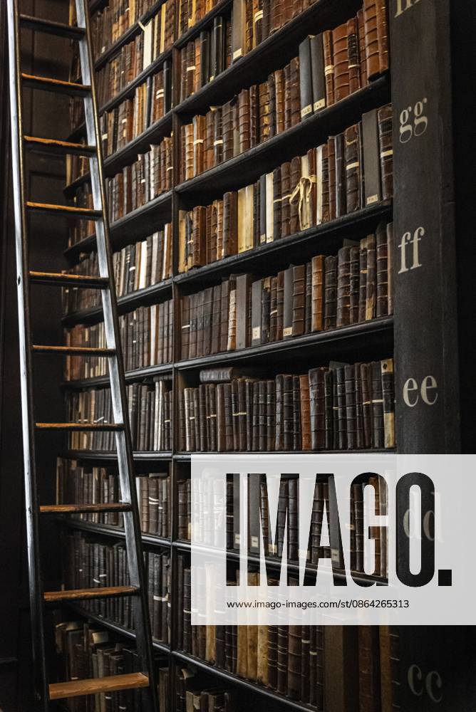 DUBLIN, IRLAND, 21. DEZEMBER 2018: The Long Room in der Trinity College Library, Heimat von The Book of Kells. Eine Leiter, um Bücher auf verschiedenen Ebenen zu erreichen DUBLIN, IRELAND, DECEMBER 21, 2018: The Long Room in the Trinity College Library, home to The Book of Kells. A ladder to reach books at different levels