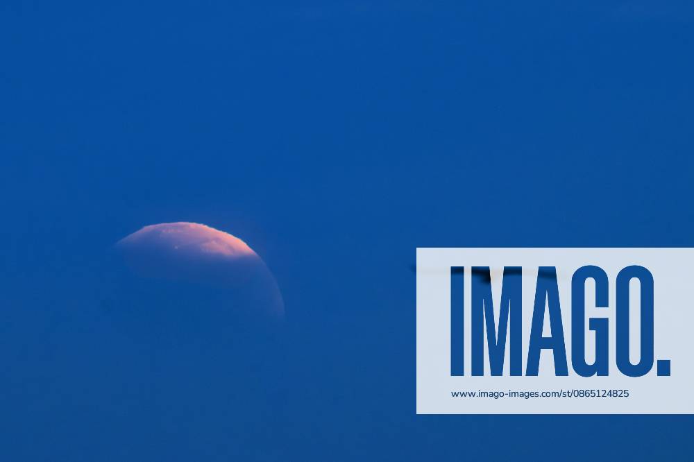 93% Lunar Eclipse 28 08 2026 DE PANNE, BEL - AUGUST 28 : A seagull pictured flying by the umbral stateduring a partial eclipse of the moon with a maximum of 93% pictured on August 28, 2026 in De Panne, Belgium, 28 08 2026 De Panne Belgium