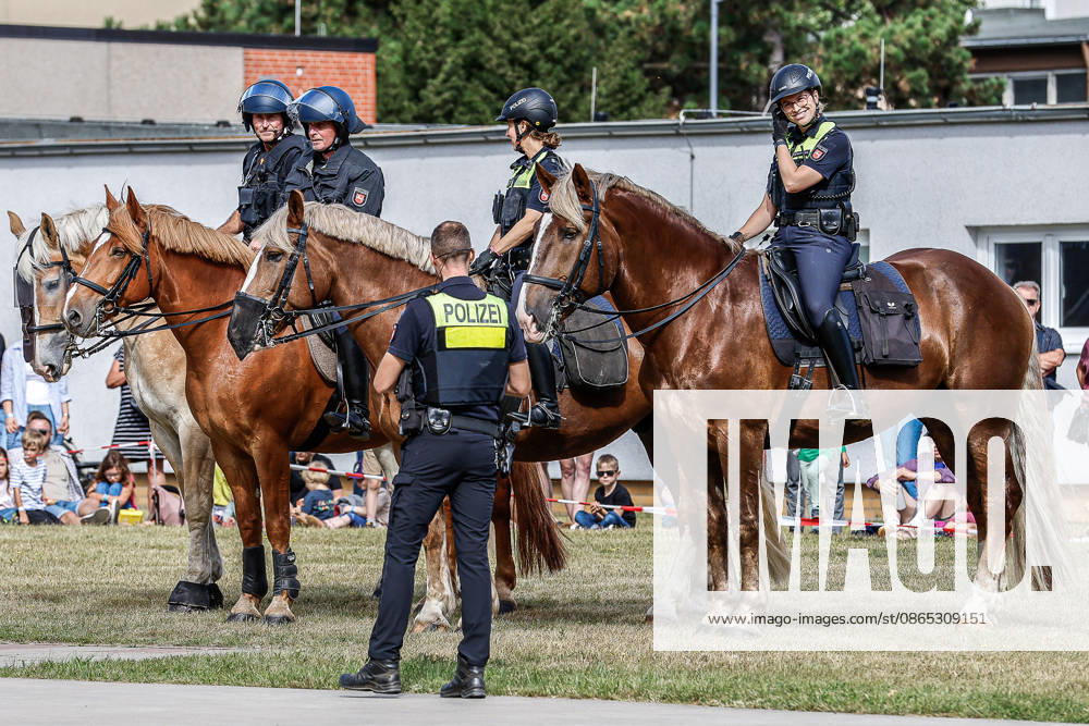 75th Anniversary of the Federal Police: Community Festival Hosted by the Hanover Federal Police Headquarters; Demonstration of service horses from the Hanover Police Mounted Unit and their training; Hanover Federal Police Headquarters, Lower Saxony, Hanover Region, Germany