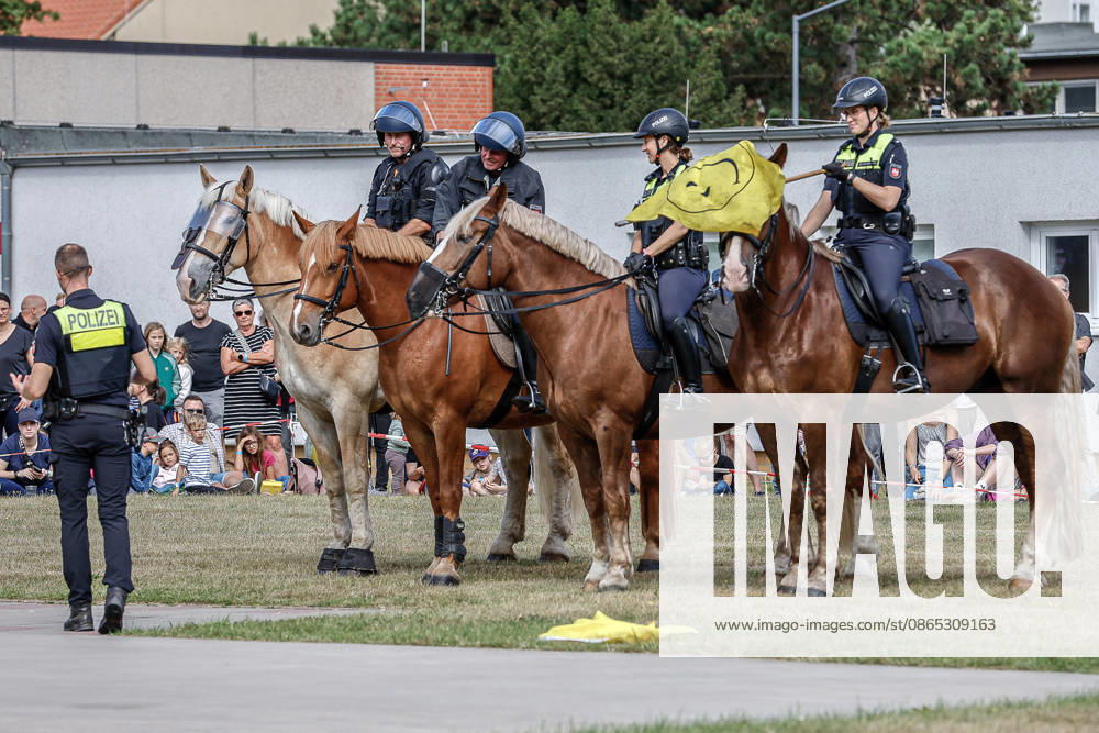 75th Anniversary of the Federal Police: Community Festival Hosted by the Federal Police Headquarters in Hannover; Demonstration of service horses from the Hannover Police Mounted Unit and their training; Training with various flags; Acclimating the horses to flags; Hannover Federal Police Headquarters, Lower Saxony, Hannover Region, Germany