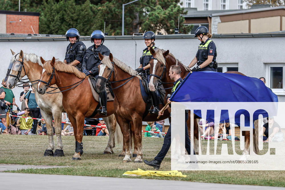 75th Anniversary of the Federal Police: Community Festival Hosted by the Federal Police Headquarters in Hannover; Demonstration of service horses from the Hannover Police Mounted Unit and their training; Training with various flags; Acclimating the horses to flags; Hannover Federal Police Headquarters, Lower Saxony, Hannover Region, Germany
