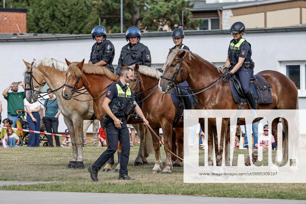 75th Anniversary of the Federal Police: Community Festival Hosted by the Federal Police Headquarters in Hanover; Demonstration of service horses from the Hanover Police Mounted Unit and their training; Training with empty and tied-together rattling cans; Hanover Federal Police Headquarters, Hanover, Lower Saxony, Hanover Region, Germany