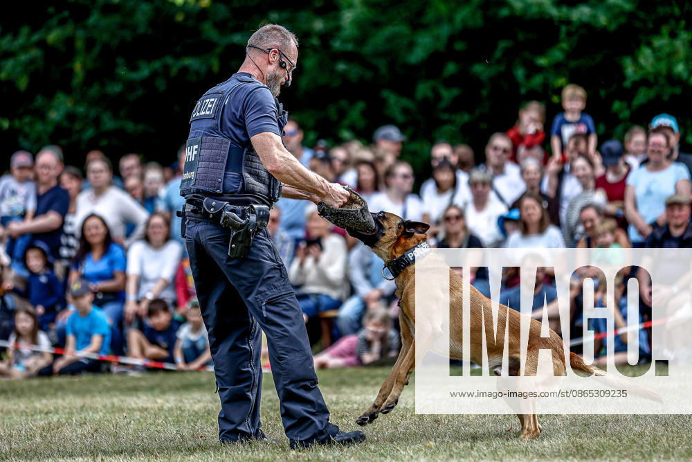75th Anniversary of the Federal Police: Community Festival Hosted by the Federal Police Headquarters in Hannover; Service Dog Demonstration Featuring Clint; Demonstration of Clint s Biting Power; Federal Police Headquarters in Hannover, Lower Saxony, Hannover Region, Germany