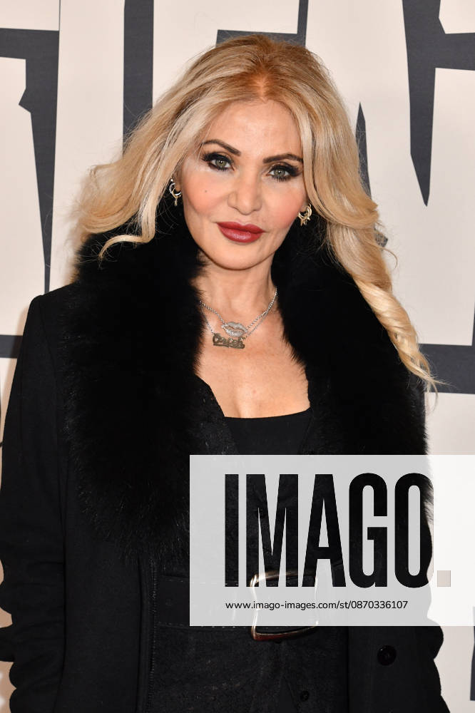 New York premiere of A Talent for Murder on at AMC Lincoln Square in New York City Featuring: Orfeh Where: New York City, New York, United States When: 21 Oct 2026 Credit: mpi099 MediaPunch INSTARimages . NOT FOR USE BY NEWSPAPERS BASED IN THE UK.