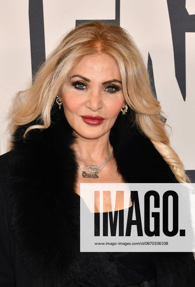 New York premiere of A Talent for Murder on at AMC Lincoln Square in New York City Featuring: Orfeh Where: New York City, New York, United States When: 21 Oct 2026 Credit: mpi099 MediaPunch INSTARimages . NOT FOR USE BY NEWSPAPERS BASED IN THE UK.