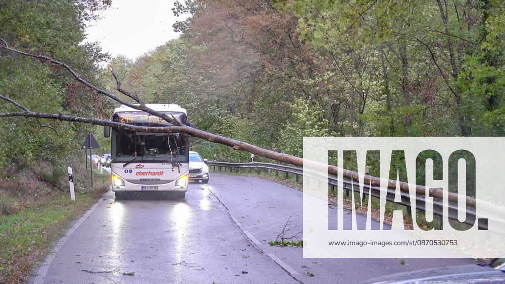 Sturmtief sorgt für gefährliche Lage im Südwesten: Zahlreiche sturmbedingten Einsätze der Feuerwehr in Baden-Baden - Regenrinne löst sich im Sturm und droht von Wohnhaus auf Fahrbahn zu stürzen - Sturmböen mit bis zu 80 km h sorgen für zahlreiche w Der Herbststurm Luise hat am Freitagnachmittag im Südwesten an Fahrt aufgenommen und auch Baden-Baden getroffen. Dort wurden Sturmböen von bis zu 80 km h gemessen. Die Feuerwehr war bei zahlreichen Einsätzen gefordert: Unter anderem stürzten Bäume um, zudem drohte an einem Mehrfamilienhaus eine Regenrinne, sich vollständig zu lösen und auf die Fahrbahn zu fallen. Die Feuerwehr rückte mit einer Drehleiter an, um die Gefahr zu beseitigen. In der Rotenbachtalstraße in Baden-Ba