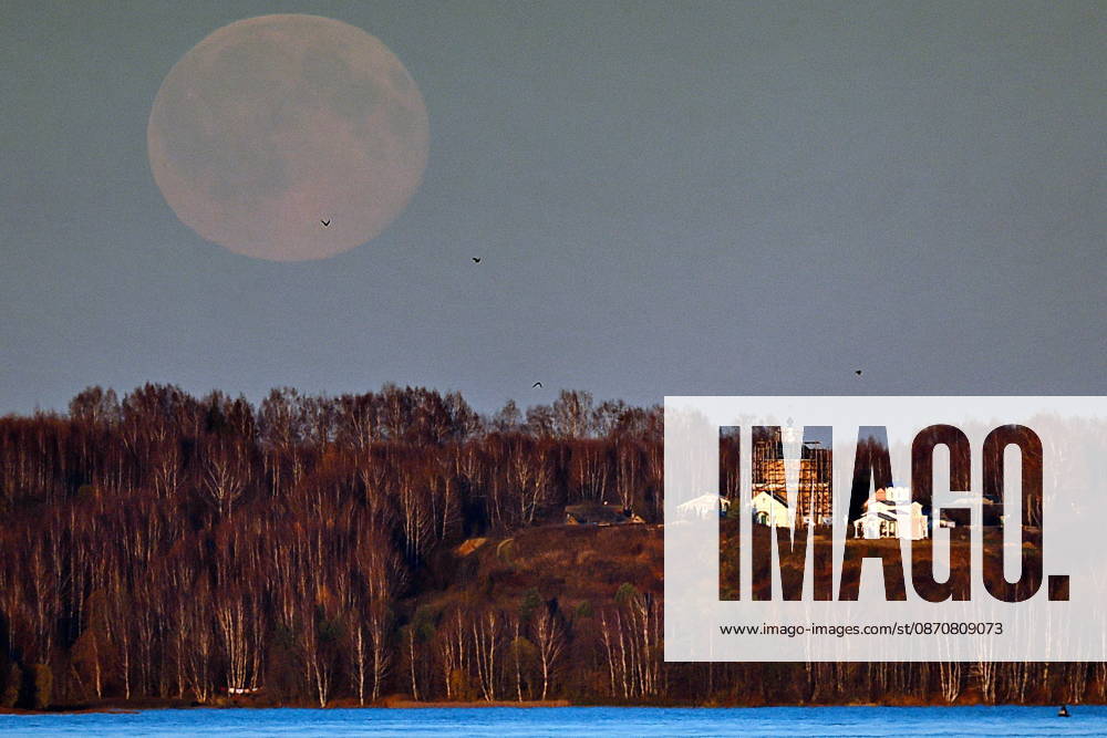 RUSSIA, KOSTROMA REGION - OCTOBER 26, 2026: The full moon shines over the landscape Russia - ZUMAt113 20261026_zaa_t113_544