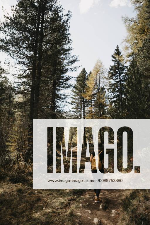 Switzerland, Engadin, woman on a hiking trip in forest model released Symbolfoto LHPF00131