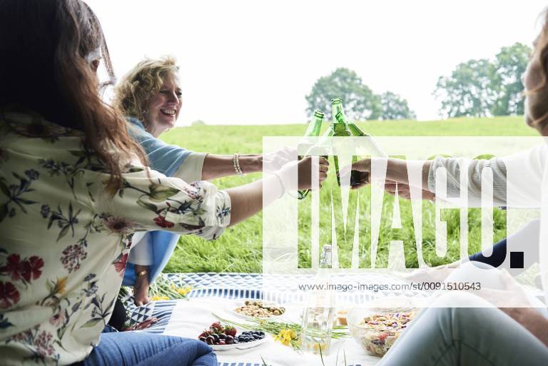 Happy women clinking beer bottles at a picnic in park model released Symbolfoto IGGF00985