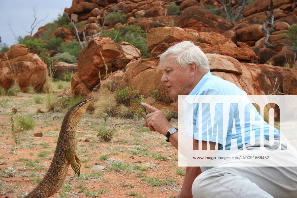 IMAGO ICONS: Sir David Attenborough PRESENTER Sir David Attenborough with Argus monitor (Varanus panoptes rubidus) standing on its hind legs when approached, Western Australia. November 2006, on location filming for BBC NHU series Life in Cold Blood 1292915 MilesxBarton