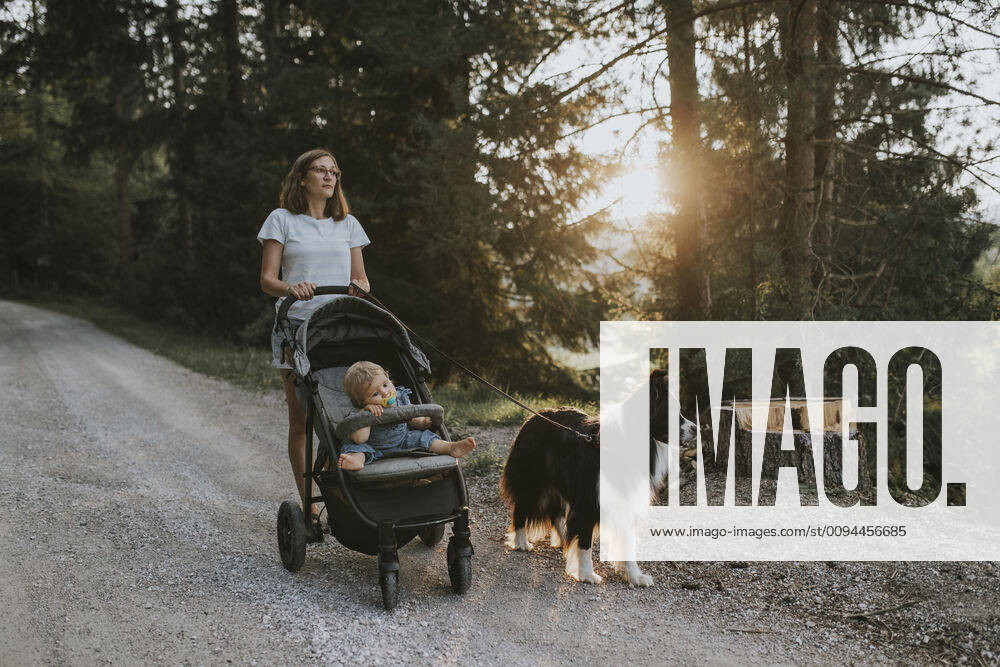 IMAGO Creative: Sommer, Abendspaziergang Mother with baby in stroller and dog walking on forest path at sunset model released Symbolfoto property released DWF00514
