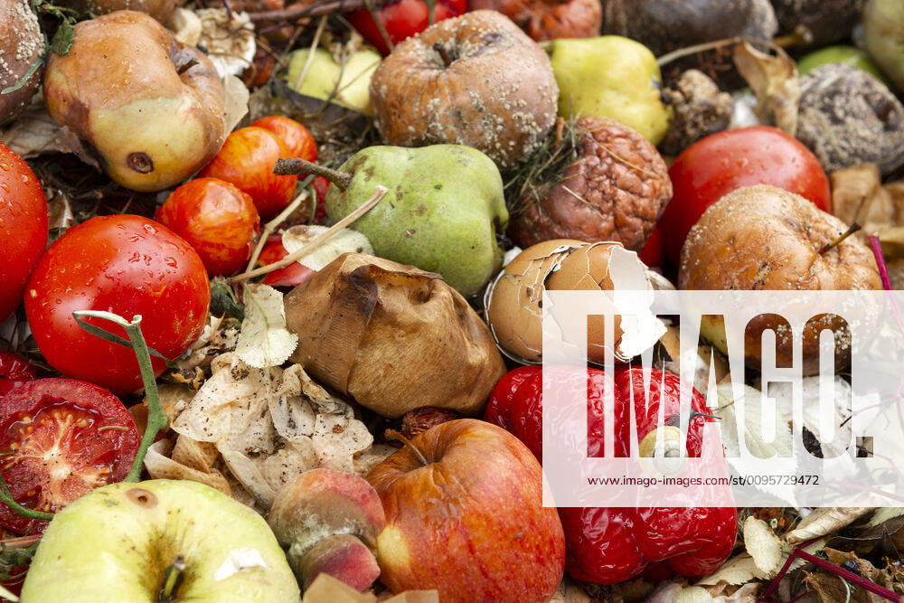 Disposed food, organic waste 1065518333
