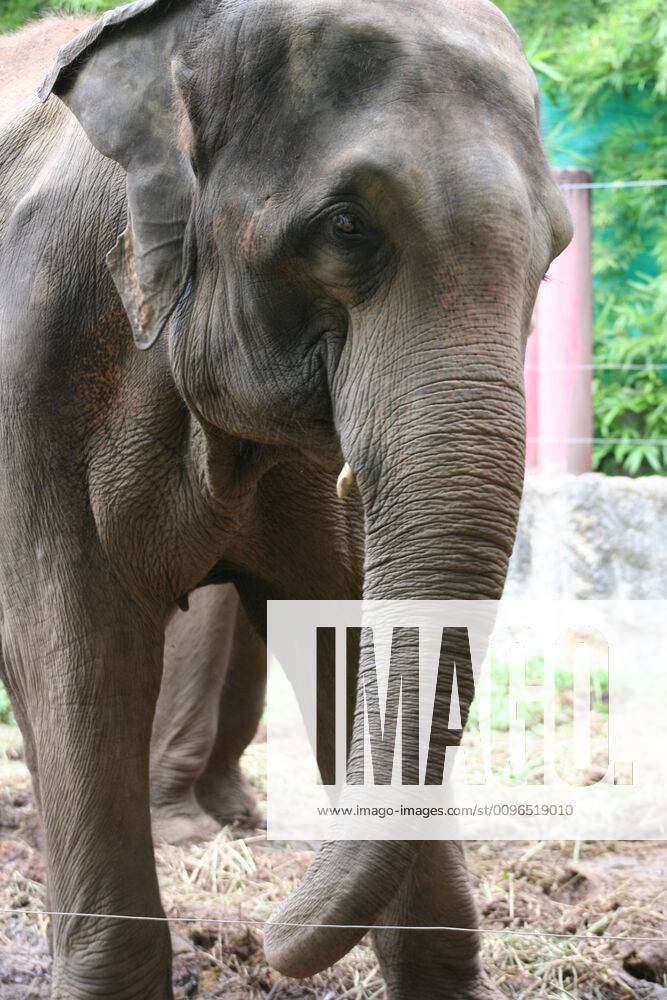 Thailand Thailand