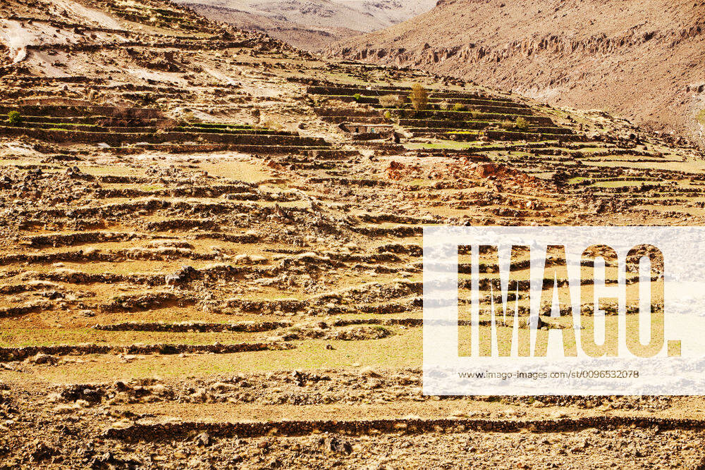 Field terraces above a Berber village in the Anti Atlas mountains of Morocco, North Africa. In recent years, rainfall totals have reduced by around 75% as a result of climate change. This has Tafraoute, Souss-Massa, Morocco CR_OQMH191212C-251072-01