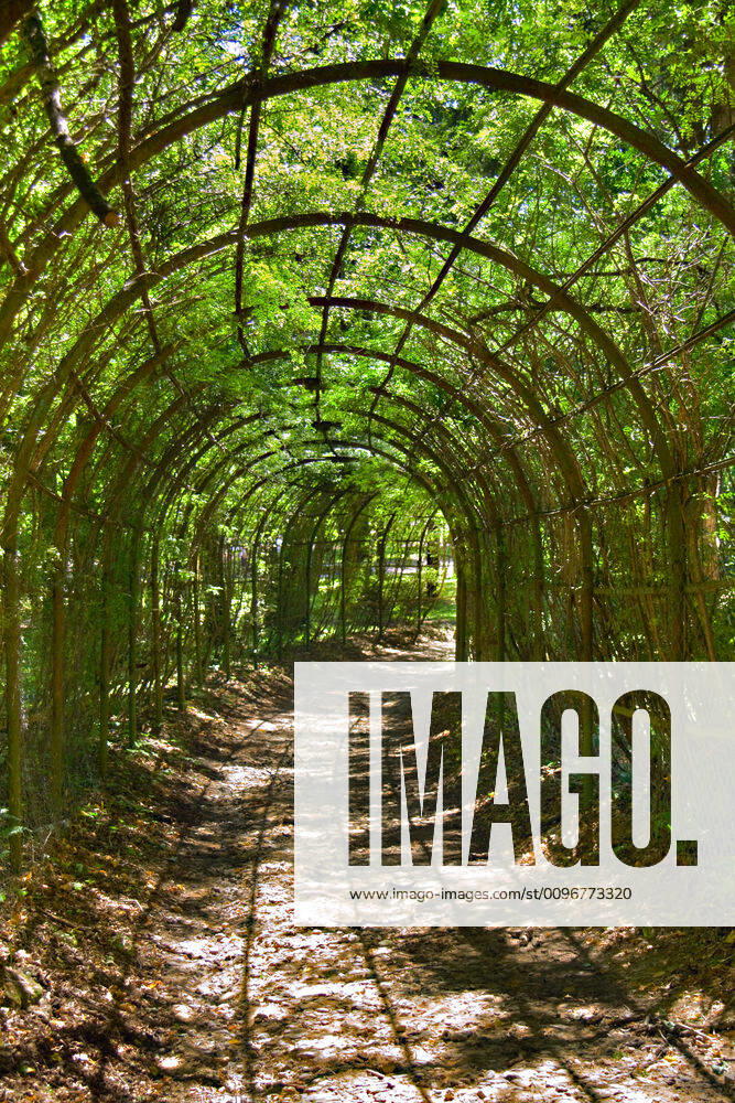 IMAGO Creative, Sommer, Schatten-Plätze bei Hitze archway in park archway in park in Sunny day in summer