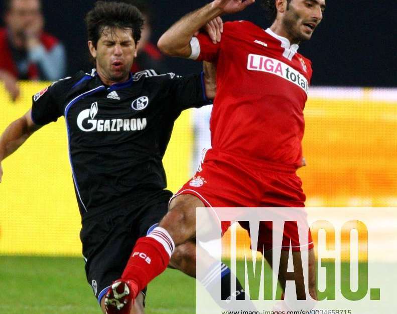 Hamit Altintop (Bayern, re.) gegen Levan Kobiashvili (Schalke) Fußball ...