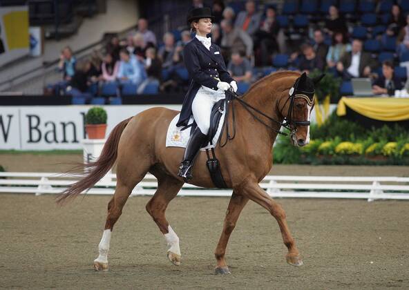 Reiten, Pferdesport, internationales Reit und Springturnier Stuttgart