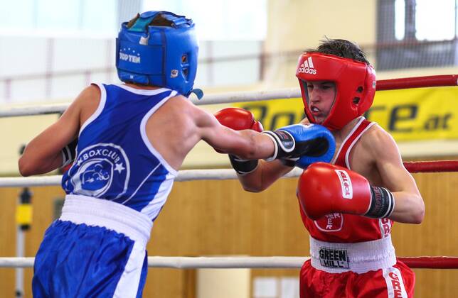 01.06.2013, Paho Halle, Wien, AUT, Boxen, Boxteam Bounce vs TSV Bayer ...