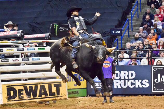Feb. 14, 2014 - St. Louis, Missouri, U.S - Rider VALDIRON DE OLIVEIRA ...