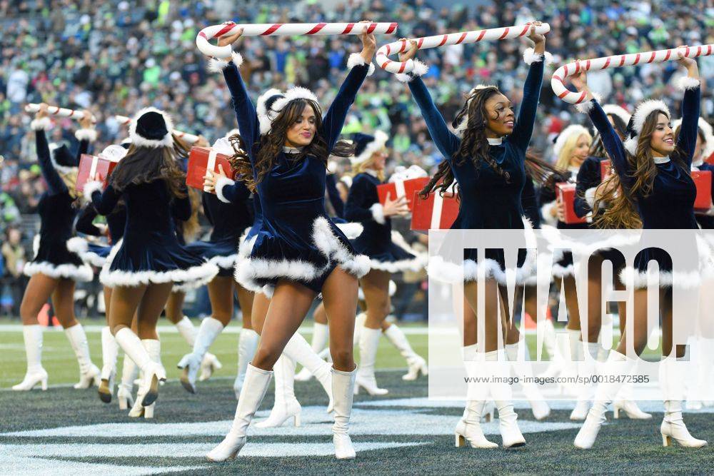 Best of Seattle Seahawks Cheerleaders 2014