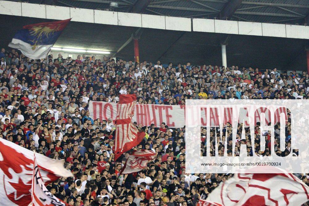 FK Crvena zvezda Fans