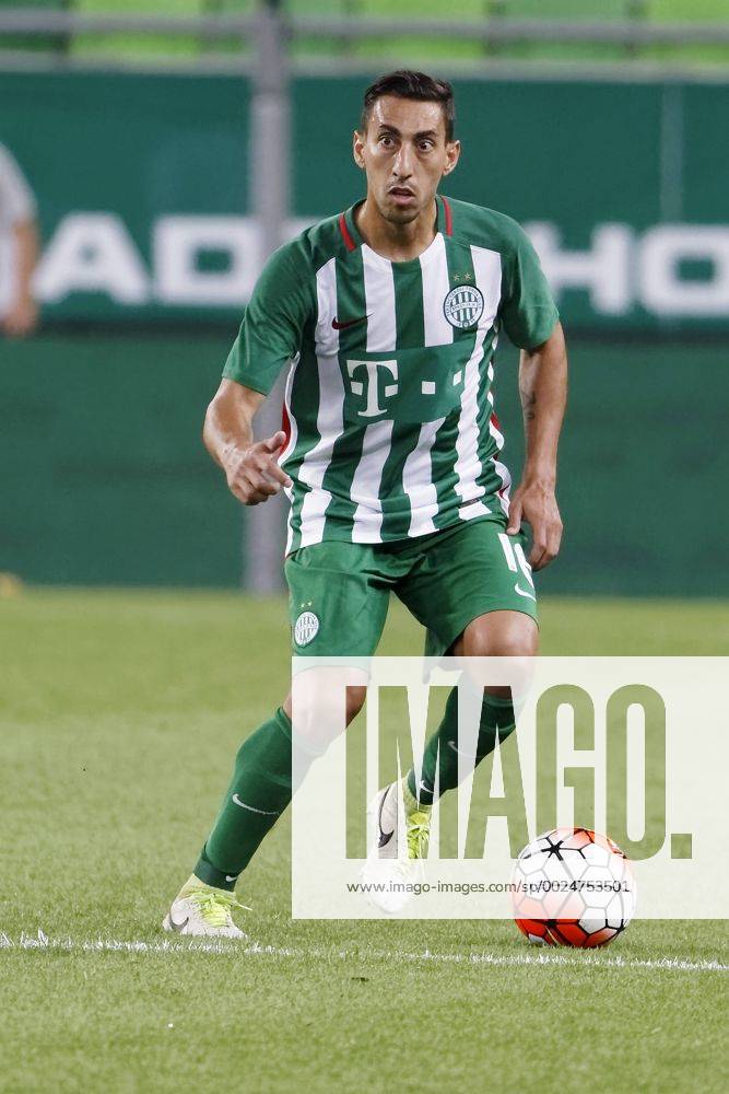 Ferencvarosi TC, Ferencvarosi TC, Visão Geral