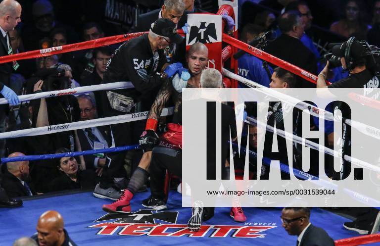 Puerto Rican boxer Miguel Cotto during his last fight as a profesional ...