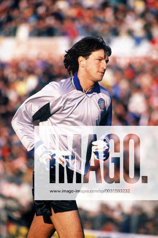 Walter Zenga - Player profile