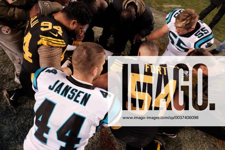 Pittsburgh Steelers vs. Carolina Panthers