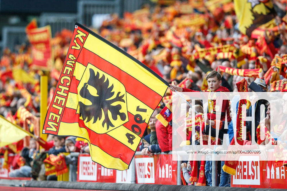 Fans and supporters of Brugge pictured during a soccer game